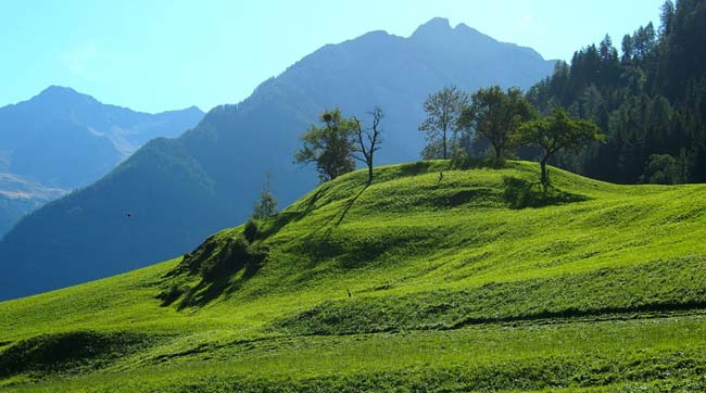 Weinbau im Passeiertal? Warum nicht?