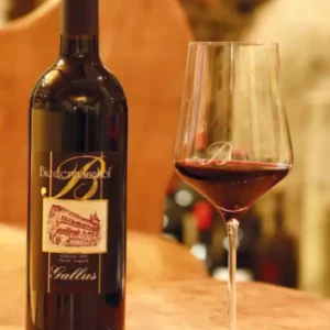 Südtiroler Cuveè Gallus - Weingut Biedermannhof