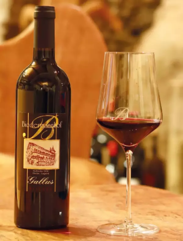 csm_wein-merlot-lagrein-gallus.png_5e26d5c9c6